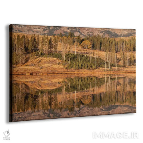 تابلو آمریکا، وایومینگ، پارک ملی یلواستون. مناطق فلت قوها در پاییز و هنگام سپیدهدم اثر الن گاف - نمای پرسپکتیو محصول