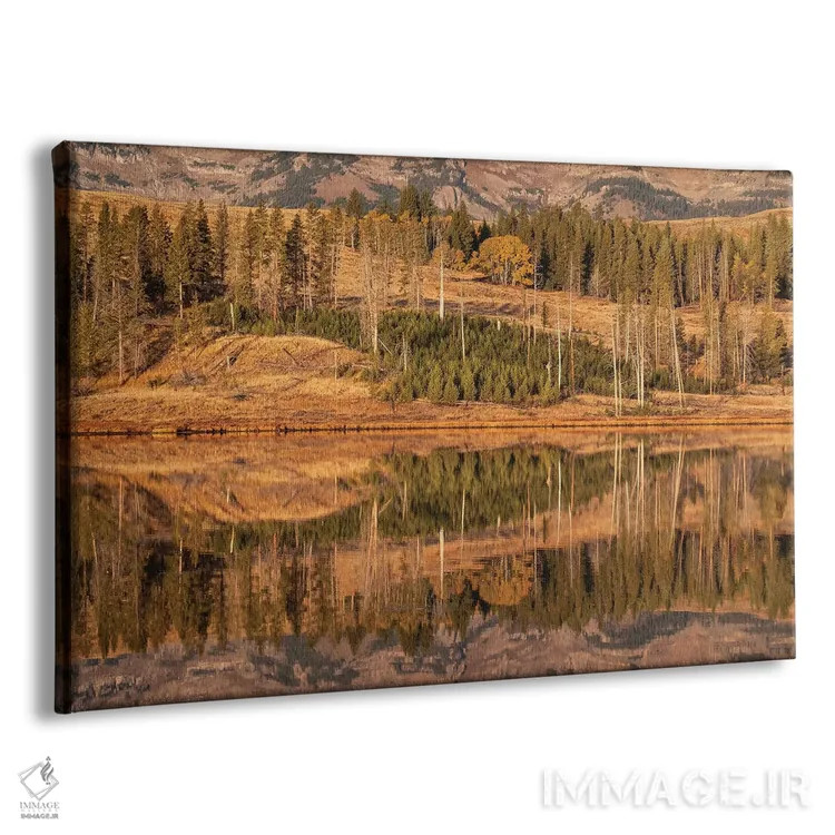 تابلو آمریکا، وایومینگ، پارک ملی یلواستون. مناطق فلت قوها در پاییز و هنگام سپیدهدم اثر الن گاف - نمای پرسپکتیو محصول