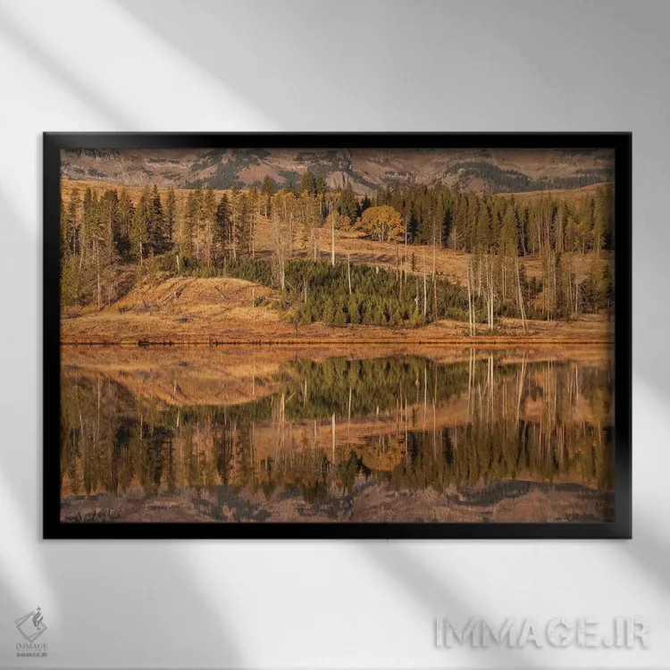 تابلو آمریکا، وایومینگ، پارک ملی یلواستون. مناطق فلت قوها در پاییز و هنگام سپیدهدم اثر الن گاف - نمای قابدار مشکی