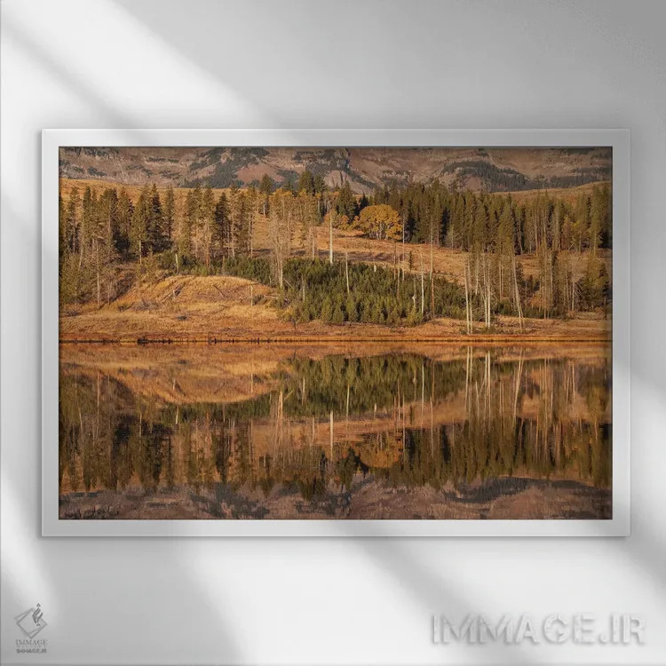 تابلو آمریکا، وایومینگ، پارک ملی یلواستون. مناطق فلت قوها در پاییز و هنگام سپیدهدم اثر الن گاف - نمای قابدار سفید