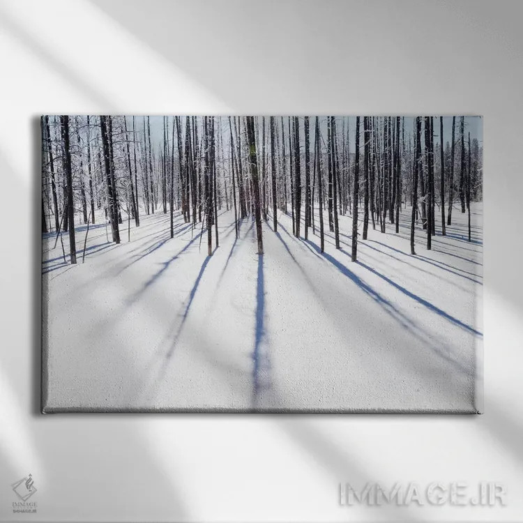 تابلو وایومینگ، پارک ملی یلواستون، نزدیک منطقه آبفشان میدوی. درختان یخزده سایههای خود را ایجاد کردهاند اثر الن گاف - نمای روبهرو روی دیوار