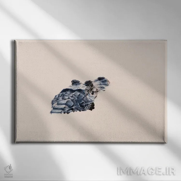 تابلو برزیل، منطقه پانتانال. سر یک کیمن سیاه در آب آرام دیده میشود اثر الن گاف - نمای روبهرو روی دیوار