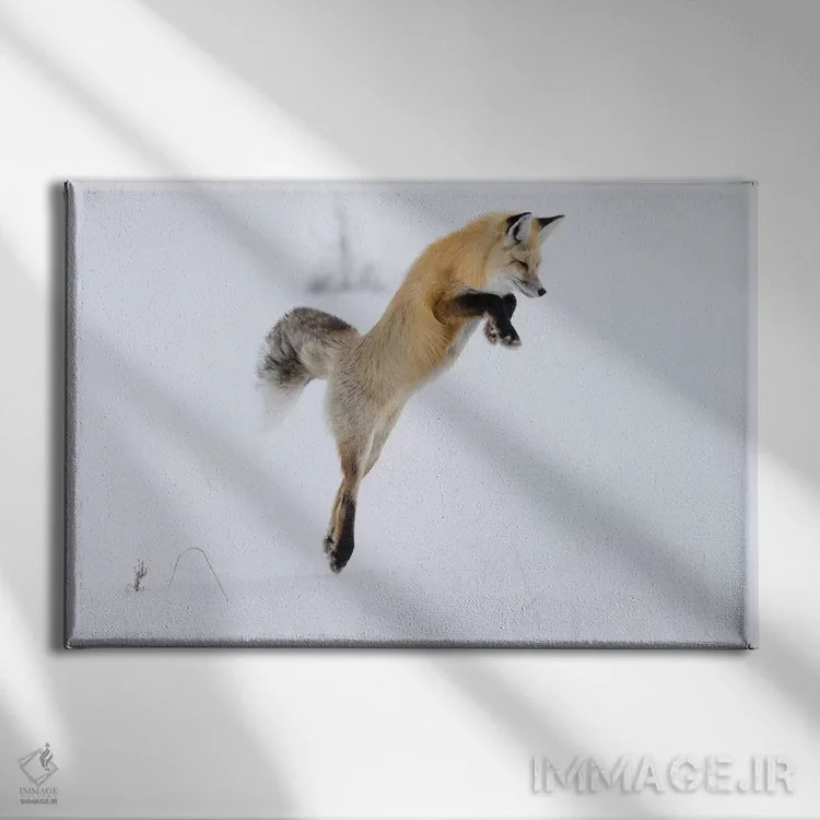تابلو وایومینگ، پارک ملی یلواستون. روباه سرخ در حال پریدن برای شکستن برف و گرفتن یک جوند اثر الن گاف - نمای روبهرو روی دیوار