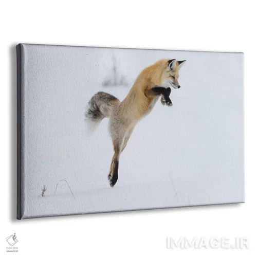 تابلو وایومینگ، پارک ملی یلواستون. روباه سرخ در حال پریدن برای شکستن برف و گرفتن یک جوند اثر الن گاف - نمای پرسپکتیو محصول