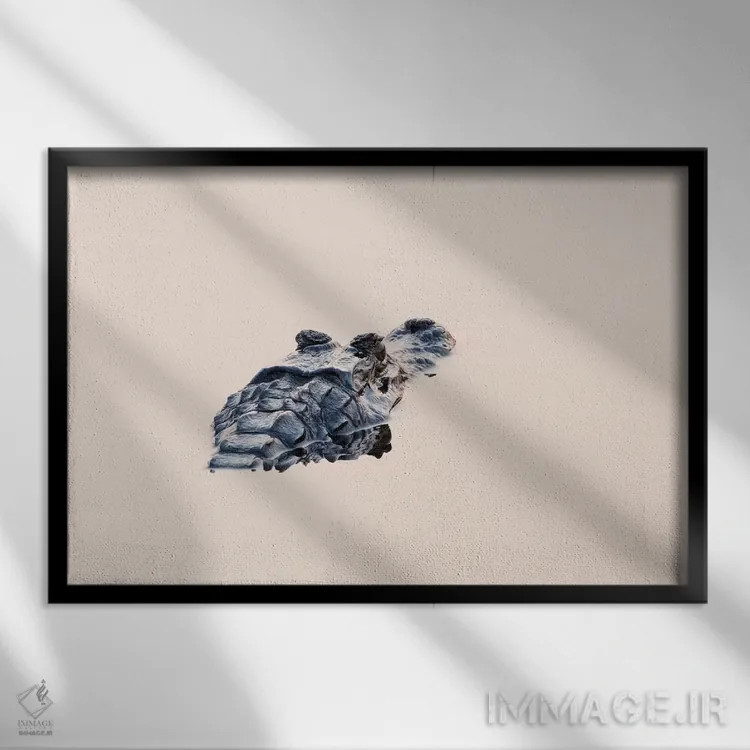 تابلو برزیل، منطقه پانتانال. سر یک کیمن سیاه در آب آرام دیده میشود اثر الن گاف - نمای قابدار مشکی