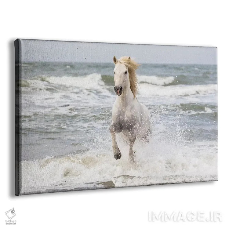 تابلو فرانسه، کامارگ، سنت-ماری-دو-لا-مر. اسب کامارگ در دریای مدیترانه (قسمت اول) اثر الن گاف - نمای پرسپکتیو محصول