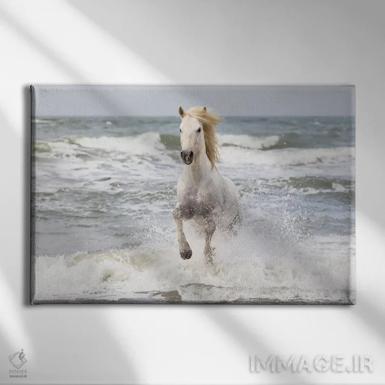 تابلو فرانسه، کامارگ، سنت-ماری-دو-لا-مر. اسب کامارگ در دریای مدیترانه (قسمت اول) اثر الن گاف - نمای روبهرو روی دیوار