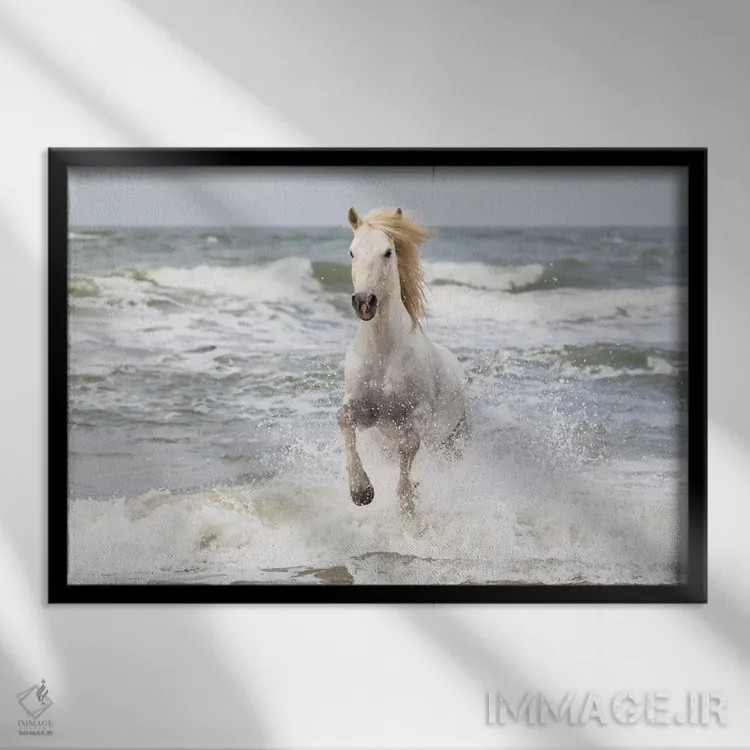 تابلو فرانسه، کامارگ، سنت-ماری-دو-لا-مر. اسب کامارگ در دریای مدیترانه (قسمت اول) اثر الن گاف - نمای قابدار مشکی