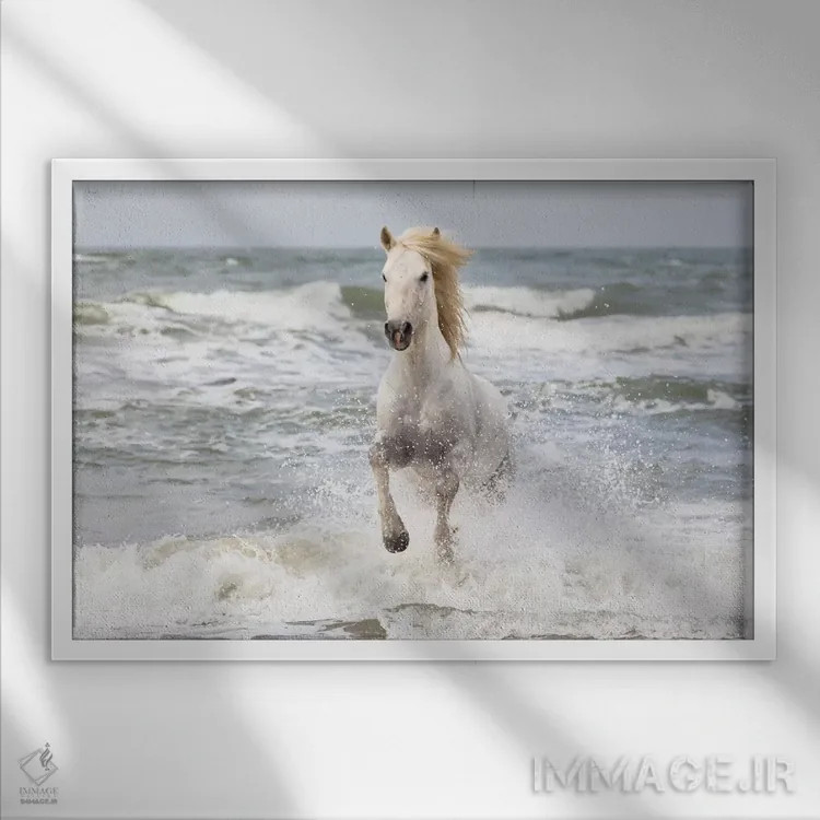 تابلو فرانسه، کامارگ، سنت-ماری-دو-لا-مر. اسب کامارگ در دریای مدیترانه (قسمت اول) اثر الن گاف - نمای قابدار سفید