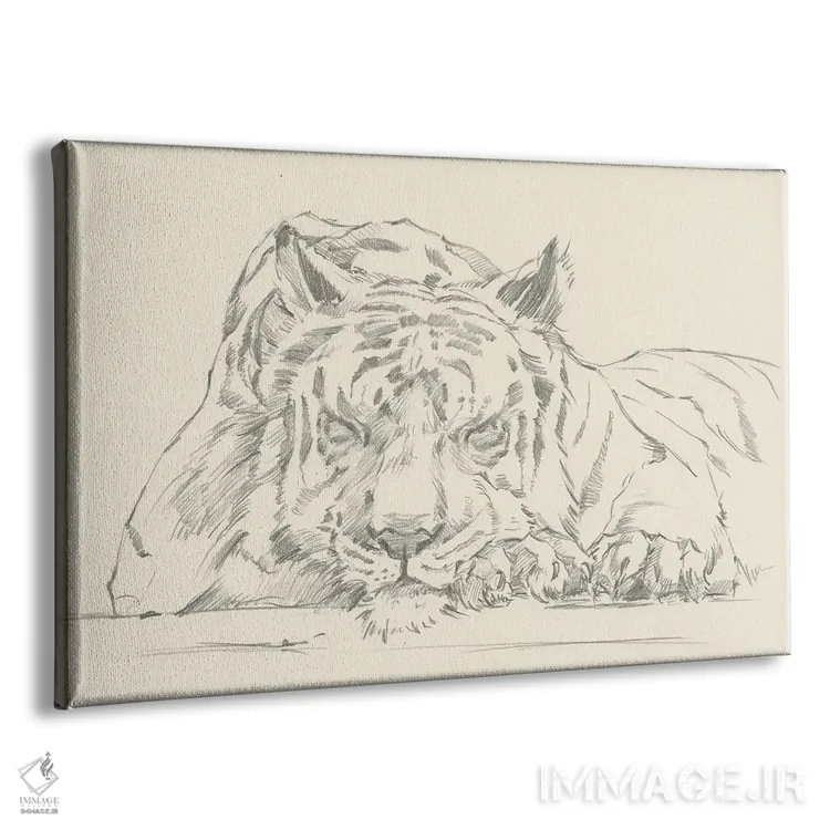 تابلو چرت گربه (قسمت دوم) اثر اتان هارپر - نمای پرسپکتیو محصول