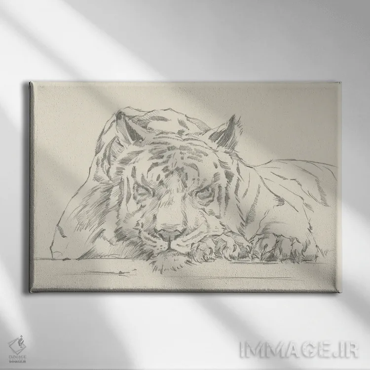 تابلو چرت گربه (قسمت دوم) اثر اتان هارپر - نمای روبهرو روی دیوار