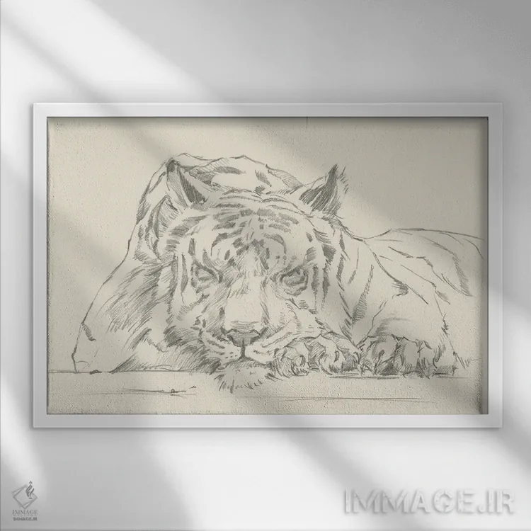 تابلو چرت گربه (قسمت دوم) اثر اتان هارپر - نمای قابدار سفید