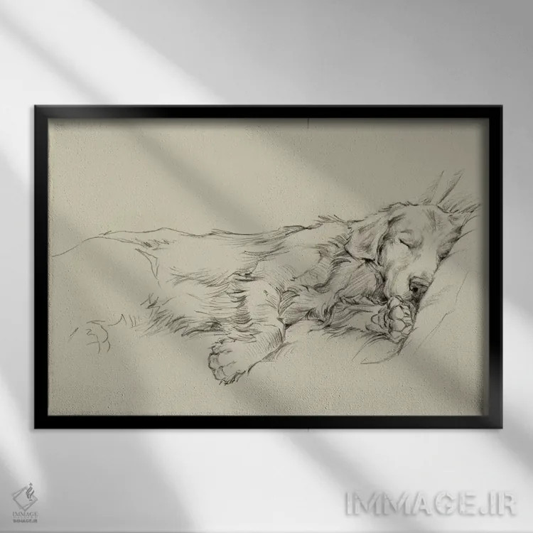 تابلو روزهای سگی (قسمت سوم) اثر اتان هارپر - نمای قابدار مشکی