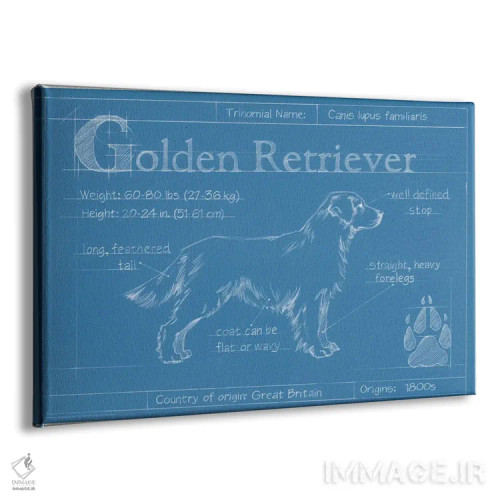 تابلو نقشه فنی سگ گلدن رتریور اثر اتان هارپر - نمای پرسپکتیو محصول