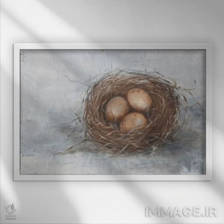 تابلو لانه پرنده روستایی (قسمت دوم) اثر اتان هارپر - نمای قابدار سفید