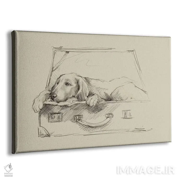 تابلو مسافر قاچاقی III اثر اتان هارپر - نمای پرسپکتیو محصول