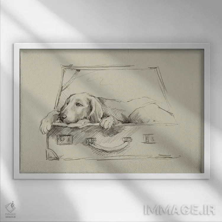 تابلو مسافر قاچاقی III اثر اتان هارپر - نمای قابدار سفید