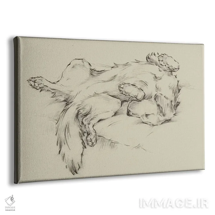 تابلو کاملاً خسته مثل سگ II اثر اتان هارپر - نمای پرسپکتیو محصول