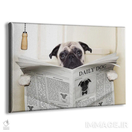 تابلو توالت سگ اثر هنرمند ناشناس - نمای پرسپکتیو محصول