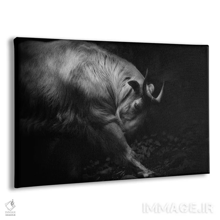 تابلو کشش پاها اثر ایجی ایتویاما - نمای پرسپکتیو محصول