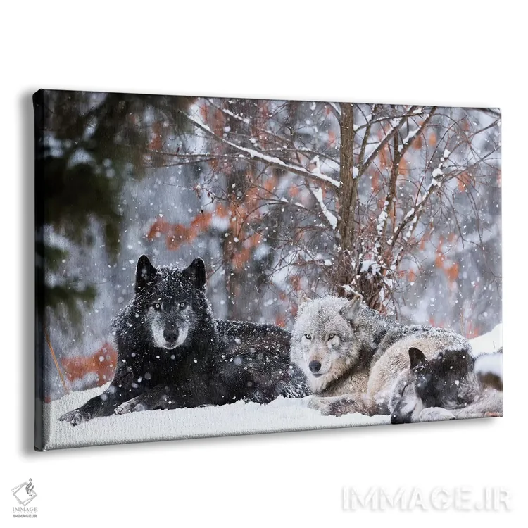 تابلو پرتره خانوادگی اثر ایجی ایتویاما - نمای پرسپکتیو محصول