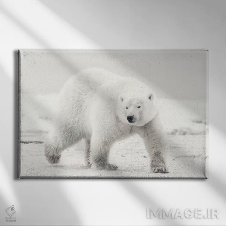 تابلو پادشاه آلاسکایی اثر ایجی ایتویاما - نمای روبهرو روی دیوار