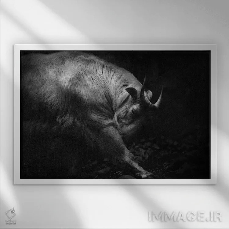 تابلو کشش پاها اثر ایجی ایتویاما - نمای قابدار سفید