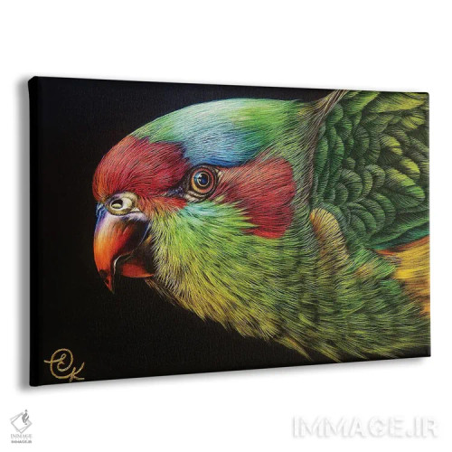 تابلو لوریکیت مشک (نوعی طوطی استرالیایی) اثر النا کولوتوشا - نمای پرسپکتیو محصول