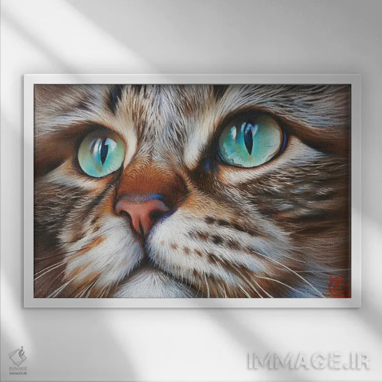 تابلو چهرهٔ گربه اثر النا کولوتوشا - نمای قابدار سفید