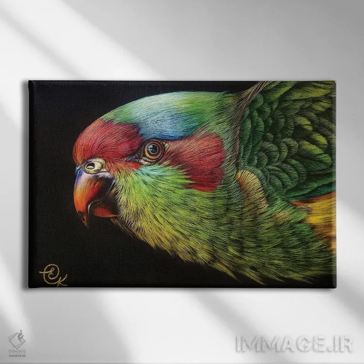 تابلو لوریکیت مشک (نوعی طوطی استرالیایی) اثر النا کولوتوشا - نمای روبهرو روی دیوار