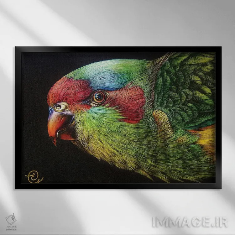 تابلو لوریکیت مشک (نوعی طوطی استرالیایی) اثر النا کولوتوشا - نمای قابدار مشکی