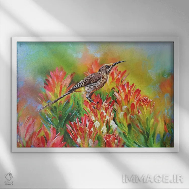 تابلو در میان پروتئاها اثر النا کولوتوشا - نمای قابدار سفید