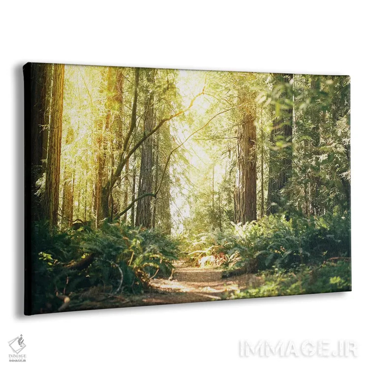 تابلو مسیر درختان ردوود کالیفرنیا اثر النا کولیـکووا - نمای پرسپکتیو محصول