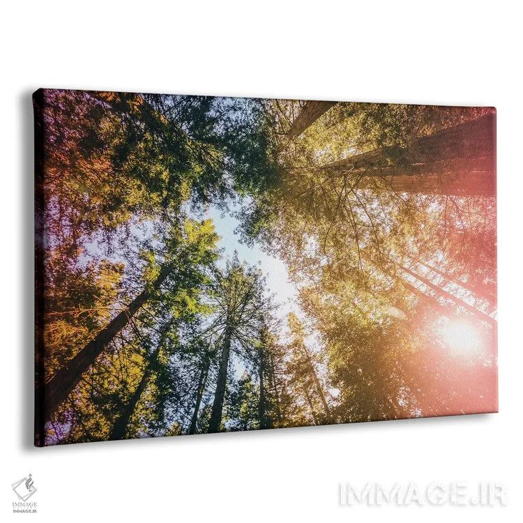 تابلو ردوودهای کالیفرنیا، تابش خورشید و آسمان اثر النا کولیـکووا - نمای پرسپکتیو محصول