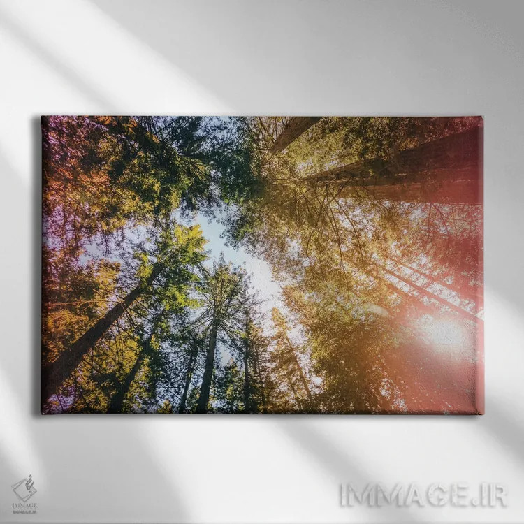 تابلو ردوودهای کالیفرنیا، تابش خورشید و آسمان اثر النا کولیـکووا - نمای روبهرو روی دیوار