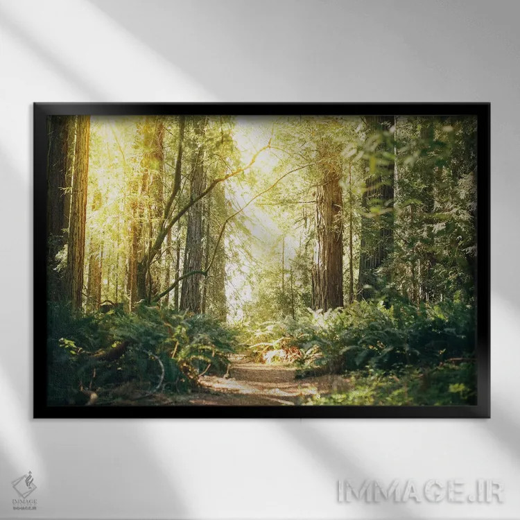 تابلو مسیر درختان ردوود کالیفرنیا اثر النا کولیـکووا - نمای قابدار مشکی