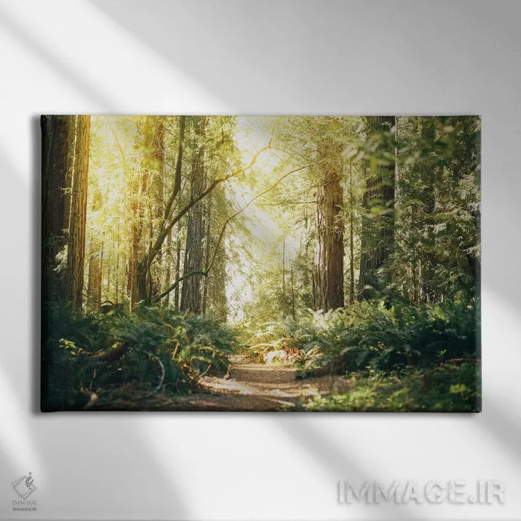 تابلو مسیر درختان ردوود کالیفرنیا اثر النا کولیـکووا - نمای روبهرو روی دیوار