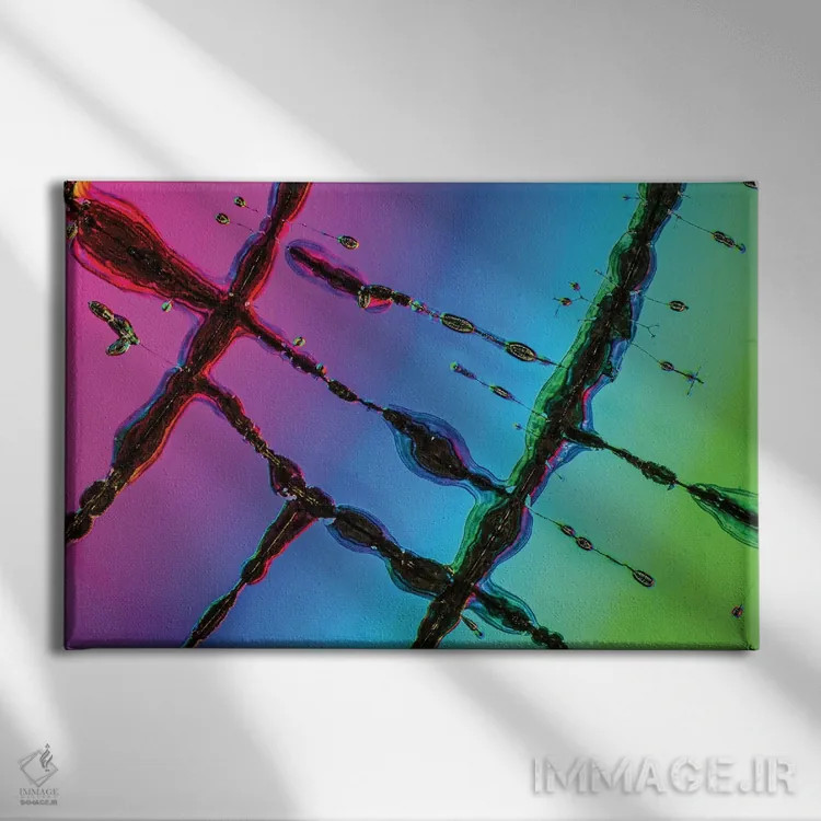 تابلو آیندهٔ دیسک فشرده (آیندهٔ سیدی) اثر النا کولیـکووا - نمای روبهرو روی دیوار