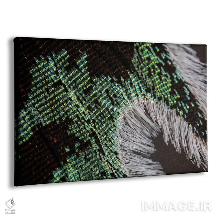 تابلو نور پراشیافته اثر النا کولیـکووا - نمای پرسپکتیو محصول