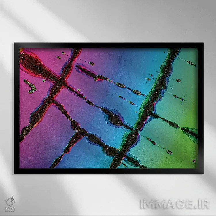 تابلو آیندهٔ دیسک فشرده (آیندهٔ سیدی) اثر النا کولیـکووا - نمای قابدار مشکی