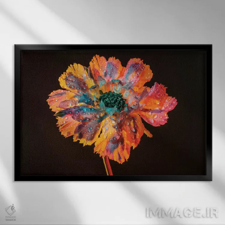 تابلو شکوفهٔ شبنمزده اثر النا کولیـکووا - نمای قابدار مشکی