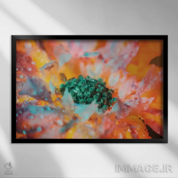 تابلو گل شکوفا و شبنمزده اثر النا کولیـکووا - نمای قابدار مشکی