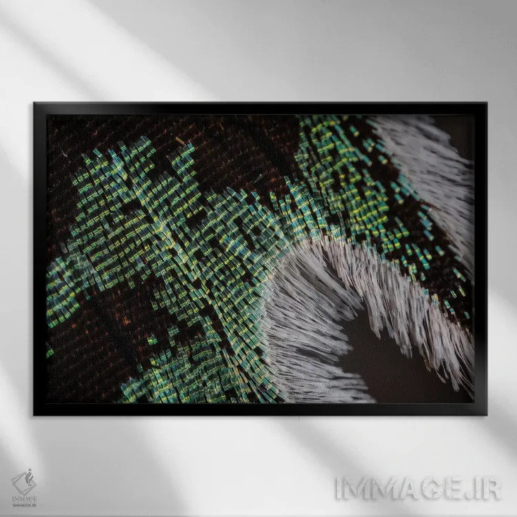 تابلو نور پراشیافته اثر النا کولیـکووا - نمای قابدار مشکی