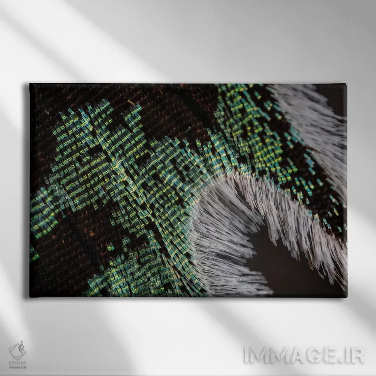 تابلو نور پراشیافته اثر النا کولیـکووا - نمای روبهرو روی دیوار