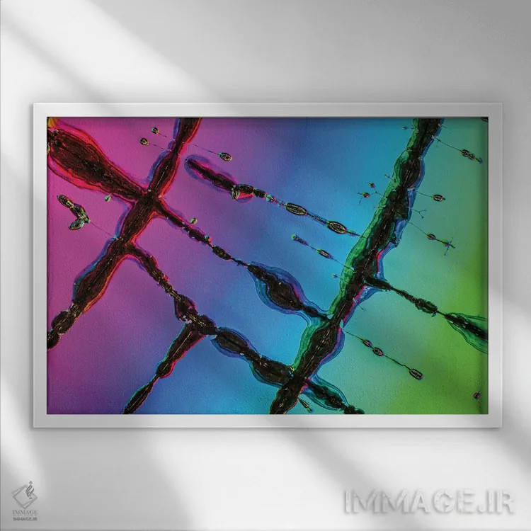 تابلو آیندهٔ دیسک فشرده (آیندهٔ سیدی) اثر النا کولیـکووا - نمای قابدار سفید