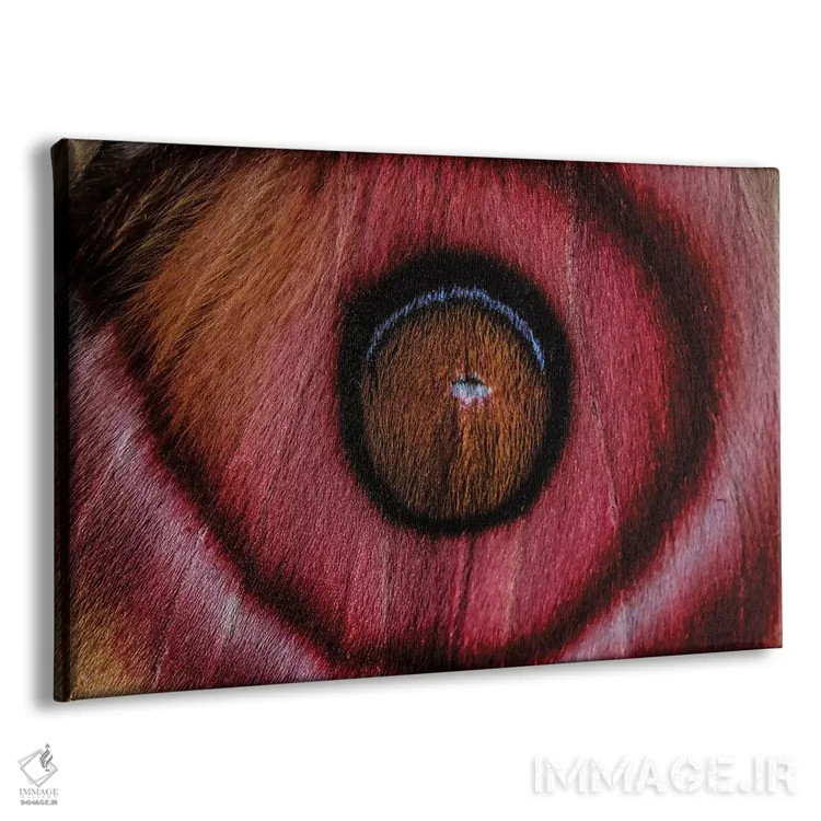 تابلو من میبینم (پروانه سوراکا ماداگاسکار) اثر النا کولیـکووا - نمای پرسپکتیو محصول