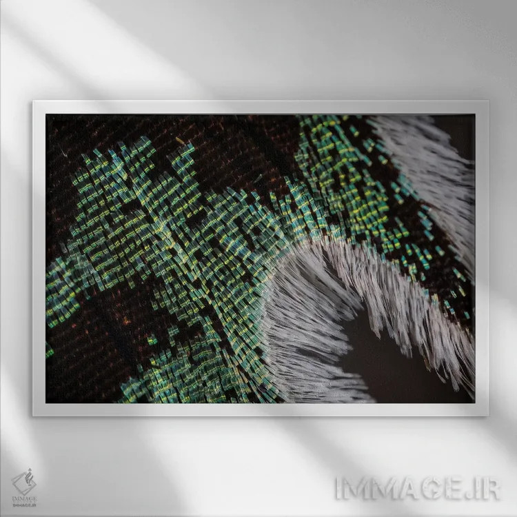 تابلو نور پراشیافته اثر النا کولیـکووا - نمای قابدار سفید