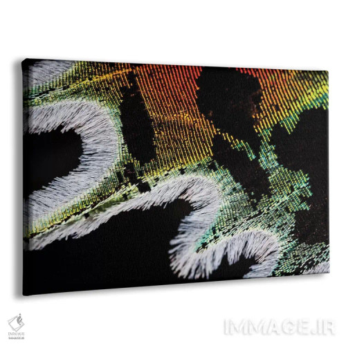 تابلو پروانهٔ غروب تابناک ماداگاسکار اثر النا کولیـکووا - نمای پرسپکتیو محصول