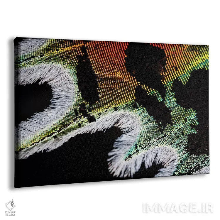 تابلو پروانهٔ غروب تابناک ماداگاسکار اثر النا کولیـکووا - نمای پرسپکتیو محصول