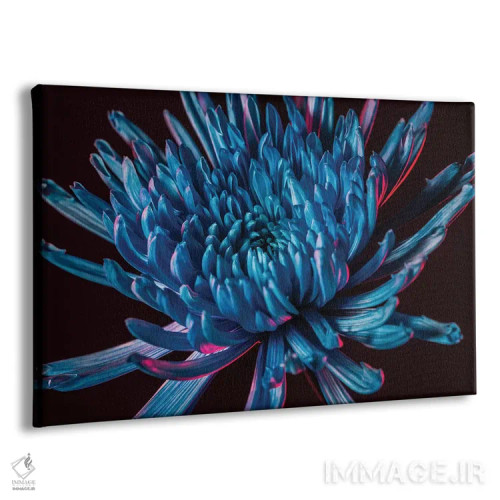 تابلو داوودی عنکبوتی آبی اثر النا کولیـکووا - نمای پرسپکتیو محصول